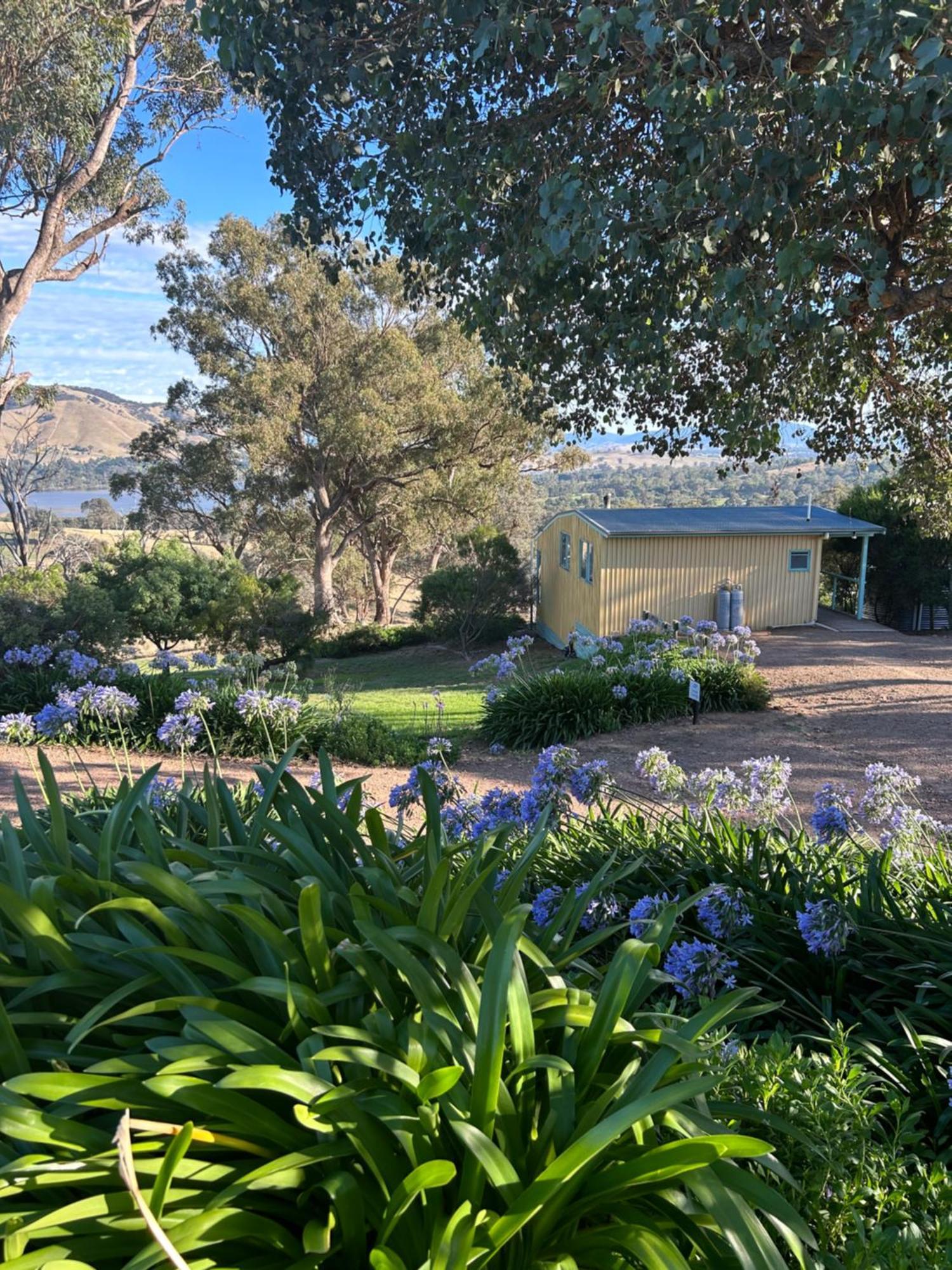 Burnt Creek Cottages Mansfield Exterior foto