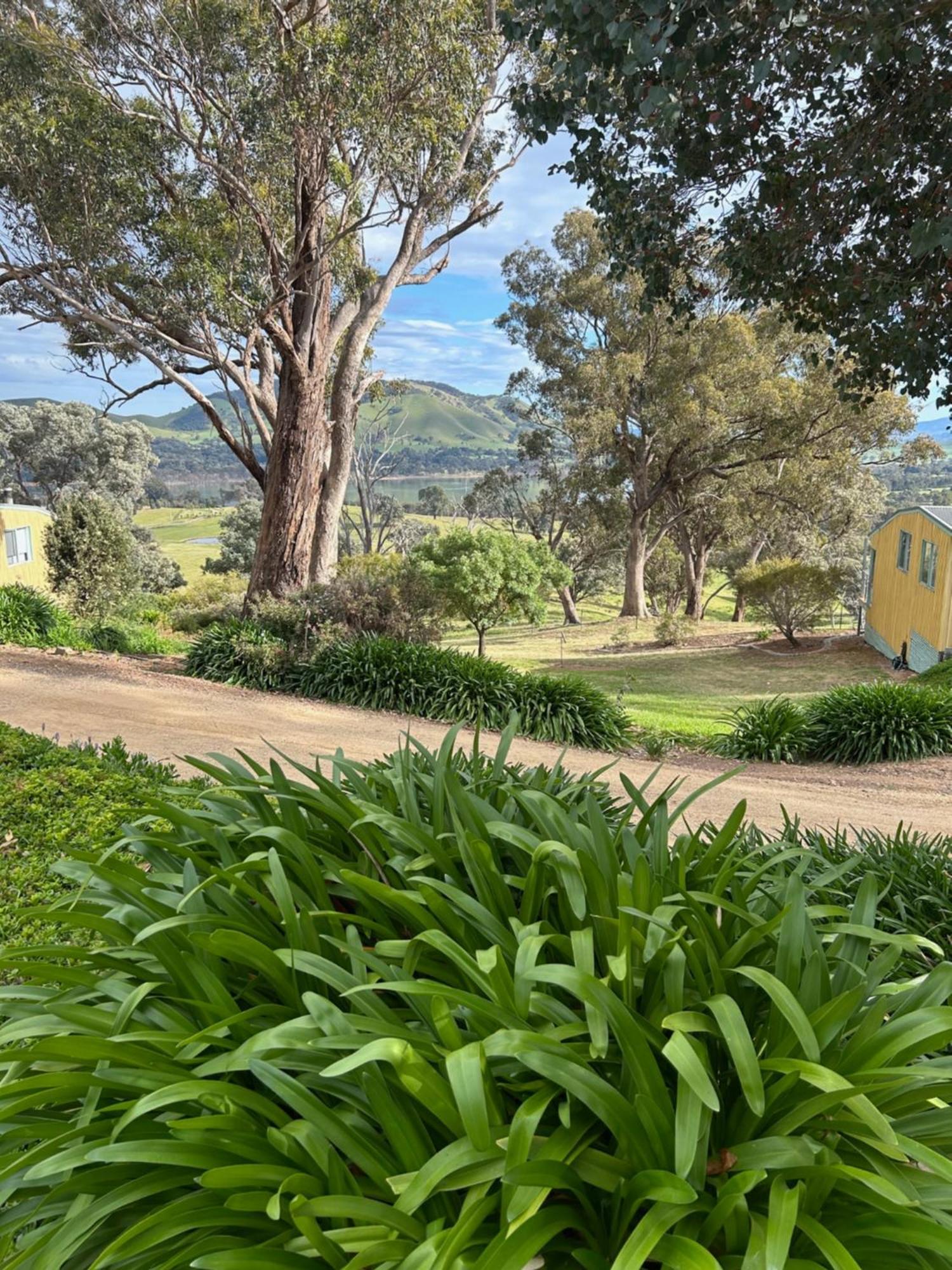 Burnt Creek Cottages Mansfield Exterior foto