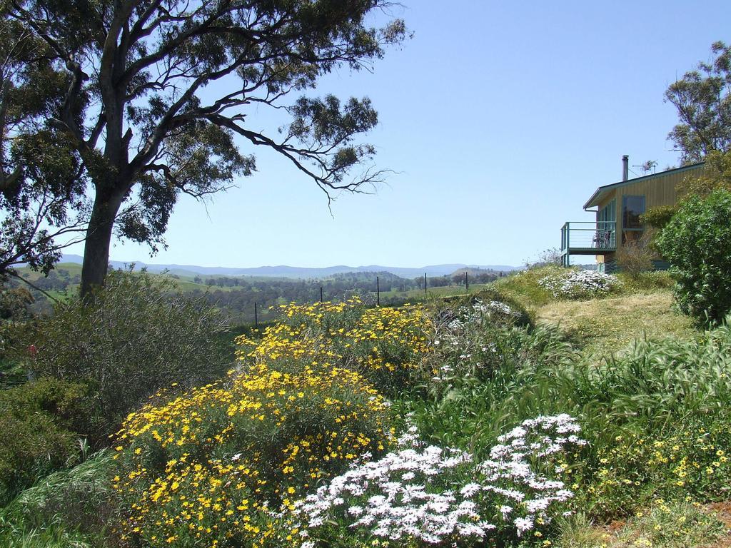 Burnt Creek Cottages Mansfield Exterior foto