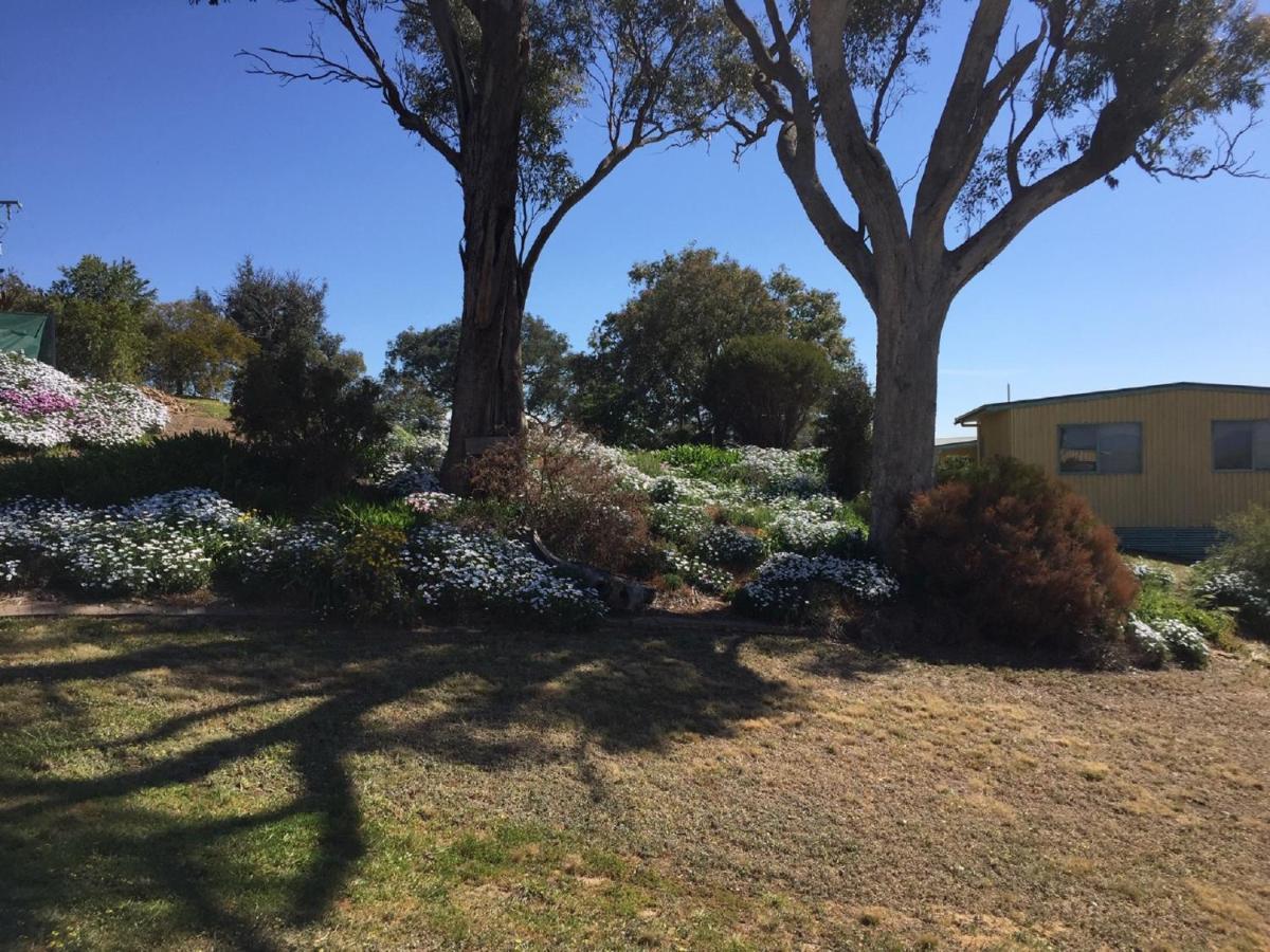 Burnt Creek Cottages Mansfield Exterior foto